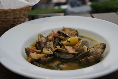 Close-up of food served in plate