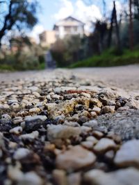 Surface level of stones on road