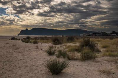 Scenic view of beach against sky