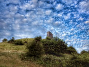 Scenic view of landscape against cloudy sky