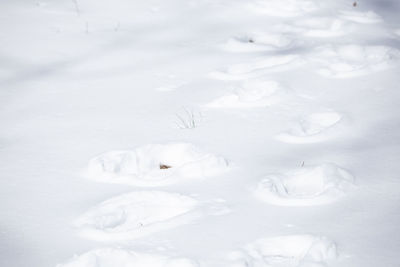 Full frame shot of frozen water