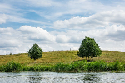 Trees on field against sky