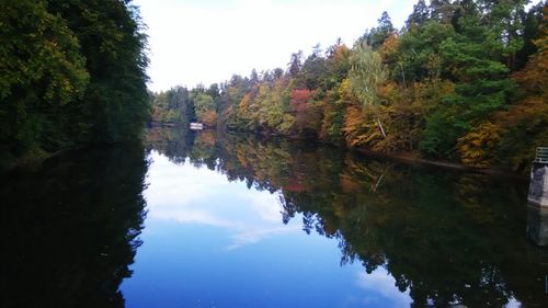 Reflection of trees in calm lake