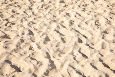 High angle view of footprints on sand at beach