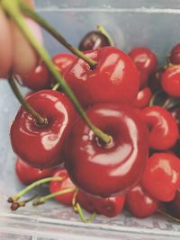 Close-up of red chili peppers
