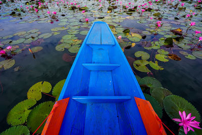 High angle view of water lilies floating on lake