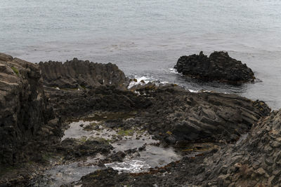High angle view of rocks on beach