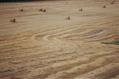 Hay bales on field