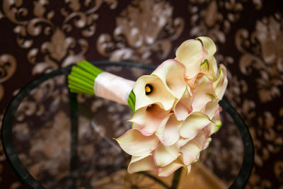 Close-up of white flowering plant