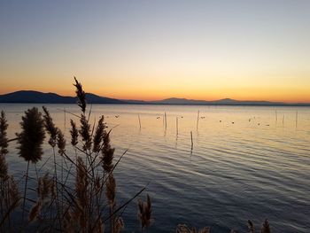 Scenic view of lake against sky during sunset