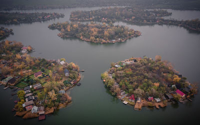 High angle view of trees by lake