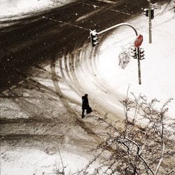 People on snow covered landscape