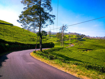 Road amidst trees against sky