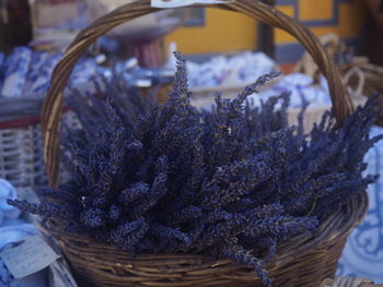 Close-up of dried flowers for sale in market
