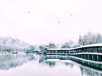 View of birds flying over river