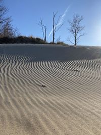Bare tree on sand dune against sky