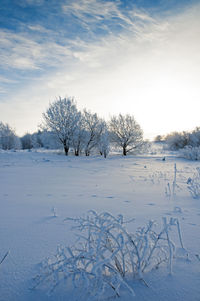 Beautiful winter landscapes in the valleys