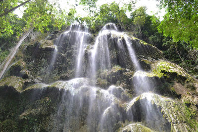 Scenic view of waterfall in forest