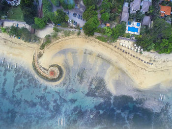 Aerial view of sea against trees