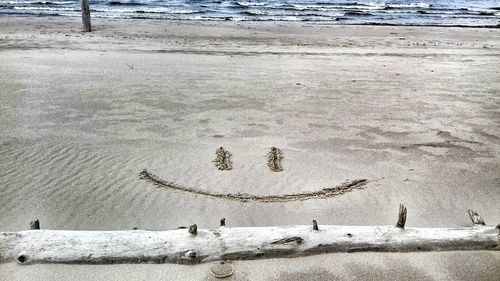 People on beach