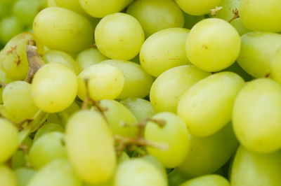 Full frame shot of grapes