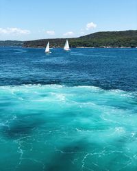 Sailboat sailing in sea against sky