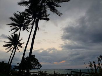 Silhouette palm trees on beach against sky