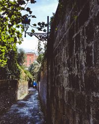 Narrow alley amidst buildings in city