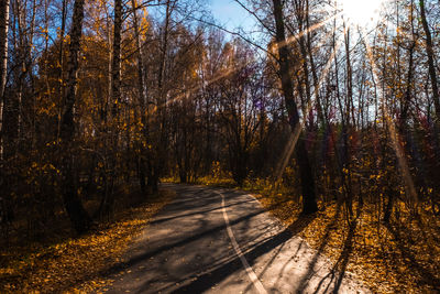 Road amidst trees in forest during autumn