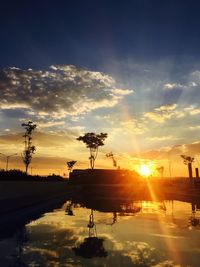 Silhouette trees against sky during sunset