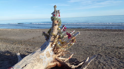 Driftwood on beach against sky