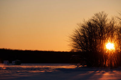 Silhouette trees against clear sky during sunset