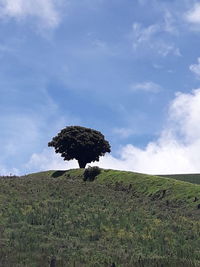 Scenic view of land against sky