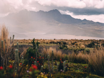 Scenic view of lake and mountains against cloudy sky