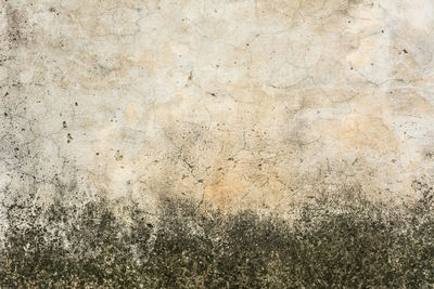 Full frame shot of weathered wall