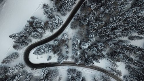 High angle view of trees on snow covered landscape