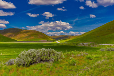 Scenic view of field against sky