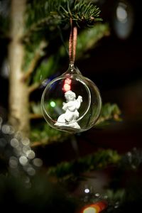 Close-up of christmas tree