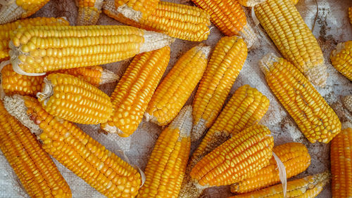 Full frame shot of yellow eggs