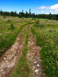 Dirt road passing through grassy field