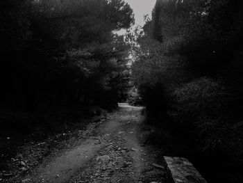 Dirt road passing through forest