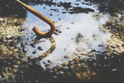 Close-up of water