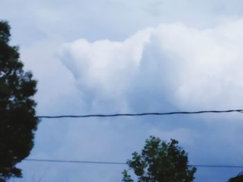 Low angle view of trees against cloudy sky