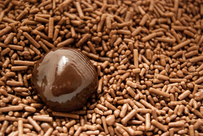 Close-up of brazilian chocolate truffle brigadeiro 