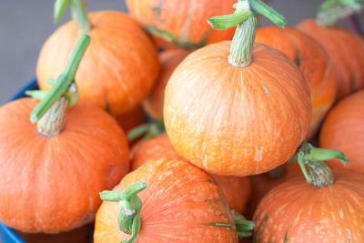 Close-up of pumpkins for sale in market