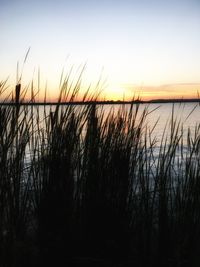 Scenic view of sea at sunset