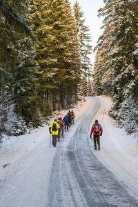 People walking at a icy forest road in the winter