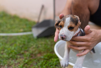 Midsection of person holding dog