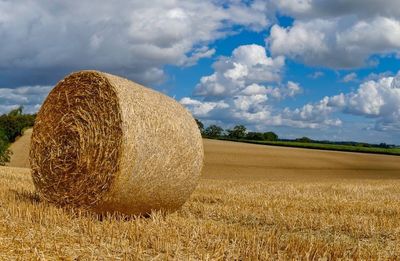 Hay bales on field