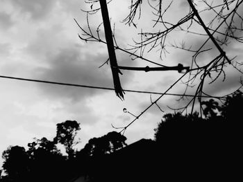 Low angle view of silhouette trees against sky at sunset